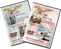 View Video DVD Collection